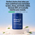 Perfect Amino — Muscle Recovery, Protein Utilization & Lean Body Support
