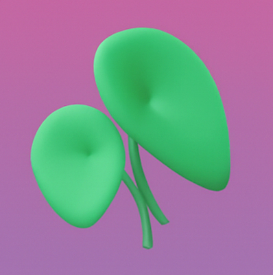 Hydrating & Barrier-Supporting Ingredients