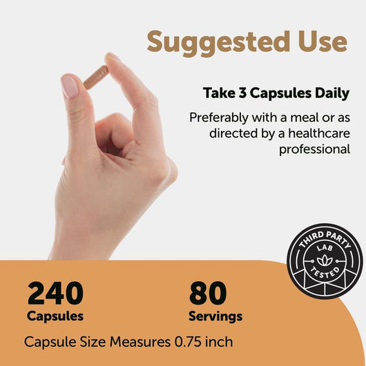 Nattokinase 10000FU — Heart Health, Blood Flow & Arterial Support